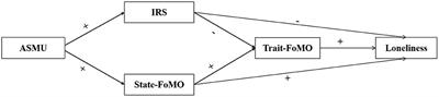The double-edged sword effects of active social media use on loneliness: The roles of interpersonal satisfaction and fear of missing out